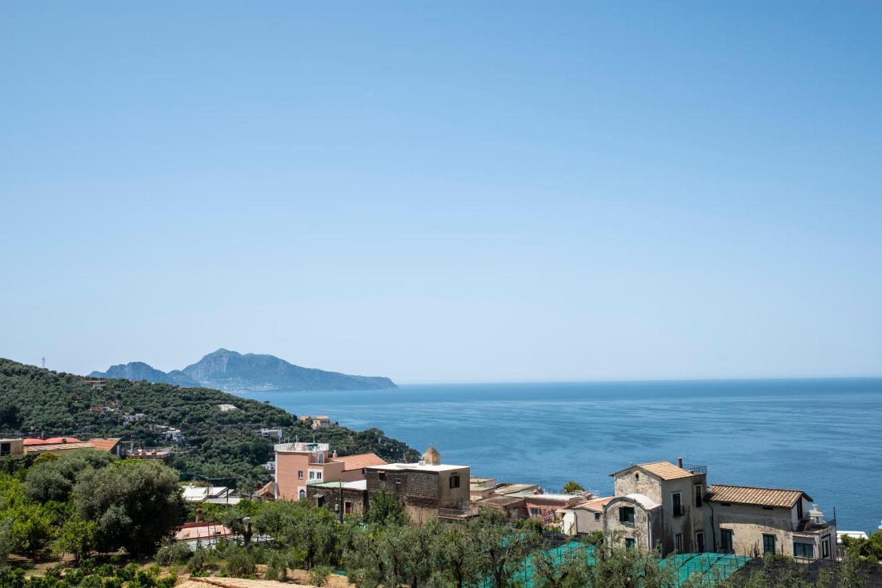 Neva Suites Massa Lubrense Sorrento Coast Zewnętrze zdjęcie