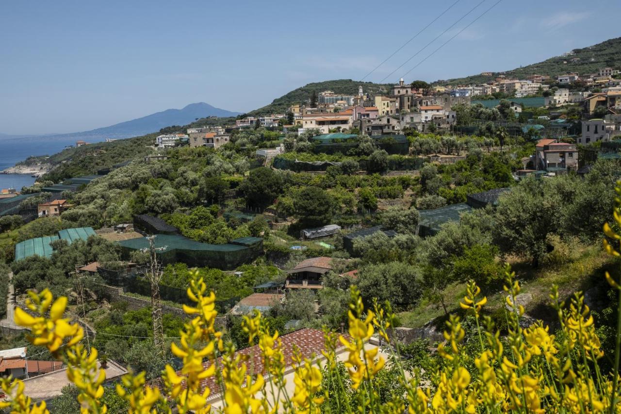 Neva Suites Massa Lubrense Sorrento Coast Zewnętrze zdjęcie