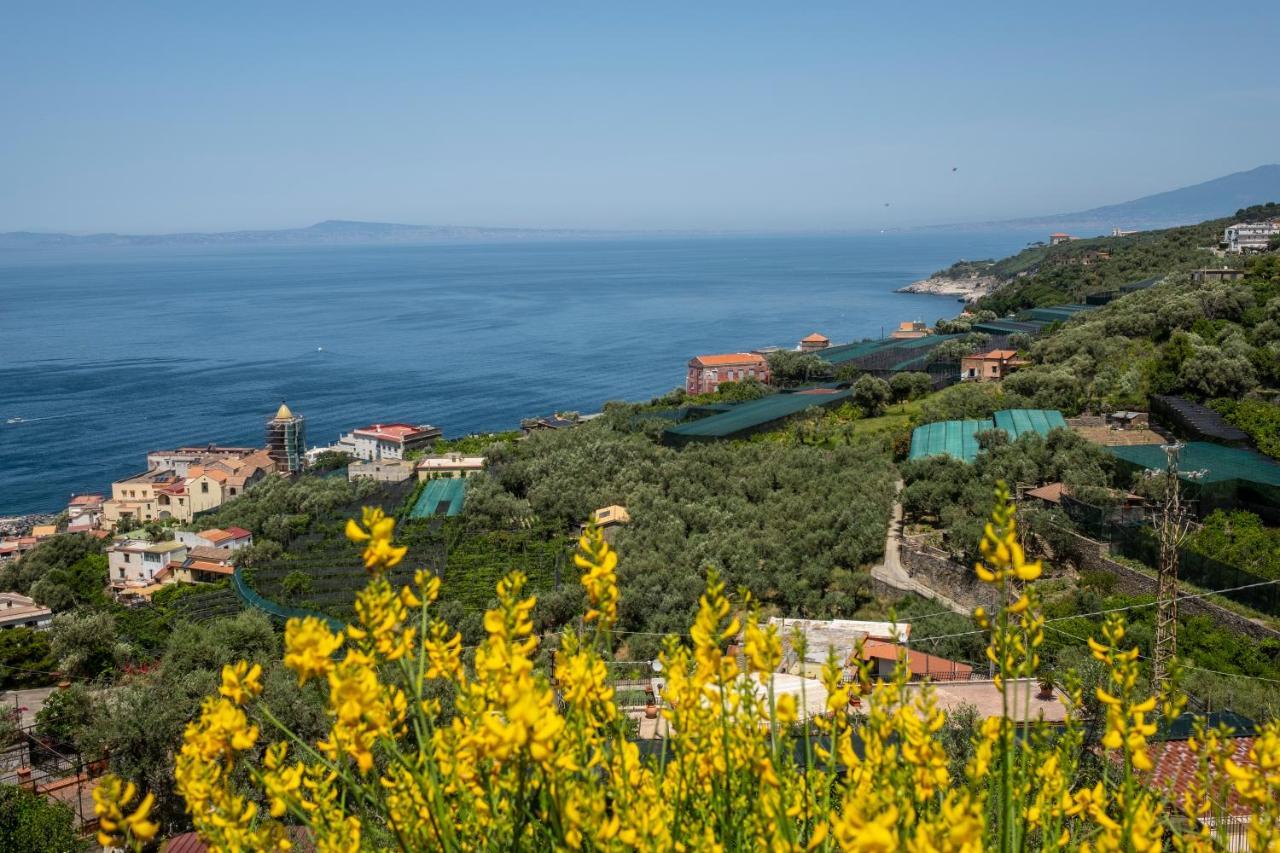 Neva Suites Massa Lubrense Sorrento Coast Zewnętrze zdjęcie
